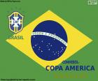 Бразилия, чемпион Копа Америка 2019